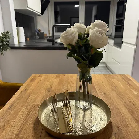 Stylish - Garden - Great Transport Links And Parking Stuttgart